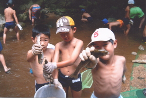 写真 マスつかみ体験