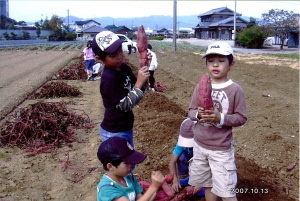 写真 芋ほり H19.10